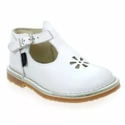 Aster BIMBO - Cognac Cognac