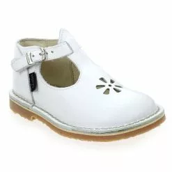 Aster BIMBO - Blanc Blanc